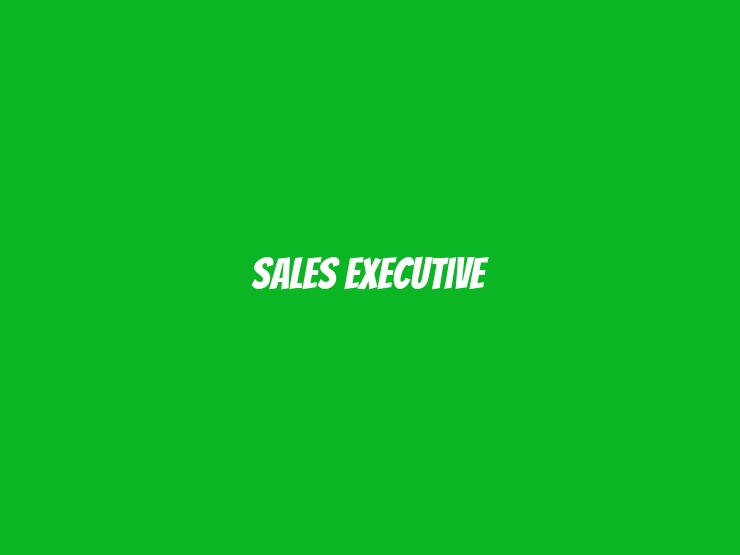 Sales Executive