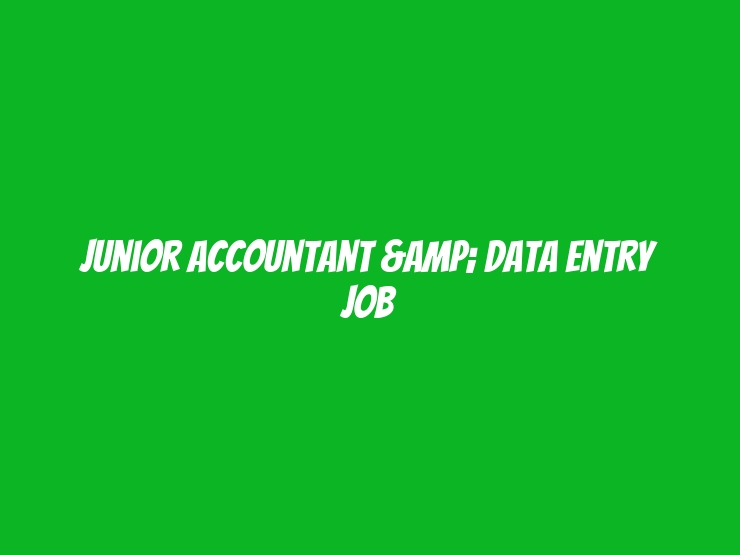 Junior Accountant & Data Entry Job